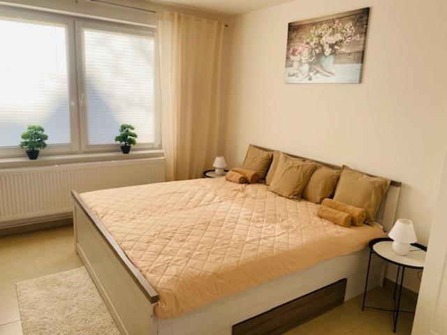 Ferienhaus Damian Cuxhaven Esterno foto